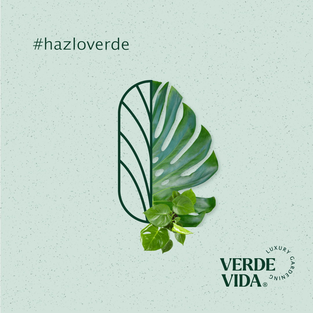 https://verdevida.com.mx/wp-content/uploads/2021/03/01-enero.png