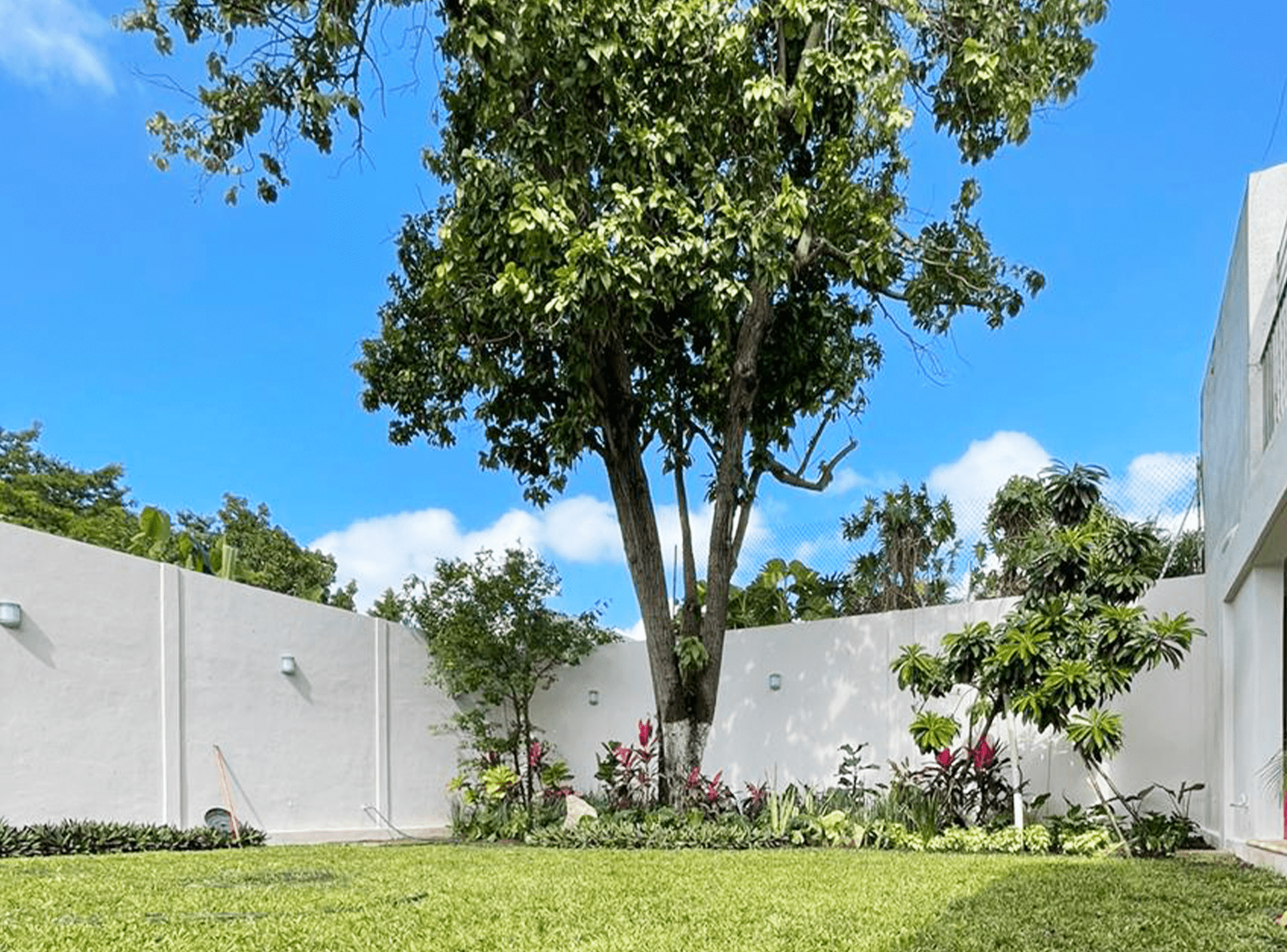 https://verdevida.com.mx/wp-content/uploads/2021/03/Servicios-4.png